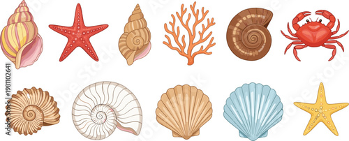 Sea Shell and Marine Life Vector Collection Featuring Nautilus, Conch, Scallop, Starfish, Coral, and Red Crab for Nautical Coastal and Beach Themed Designs