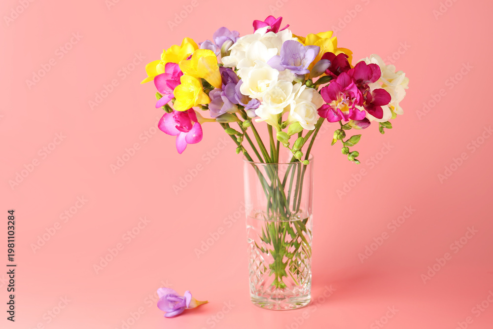 Fototapeta premium Beautiful freesia flowers in vase on pink background, space for text