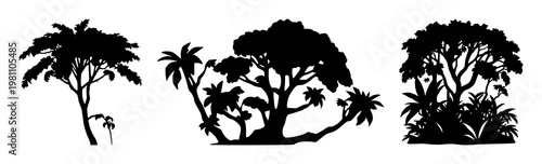 Rainforest canopy protection set with solid black icon on white background featuring eco, sustainability, nature with graphics and illustration