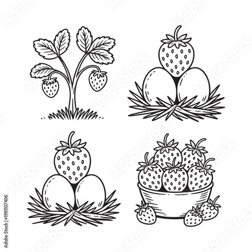 Hand drawn strawberries in various arrangements with eggs and basket