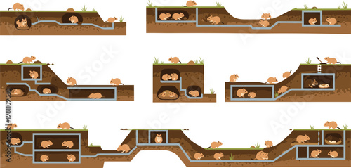 Hamster underground tunnel habitat collection showing burrow cross sections with cute pet activity isolated flat vector set