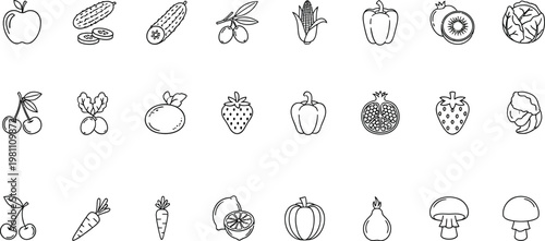 Collection of diverse hand drawn insect and creature sketches