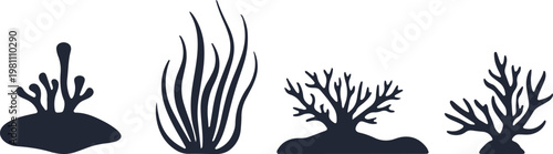 Collection of black silhouettes illustrating different types of coral and seaweed on a white background