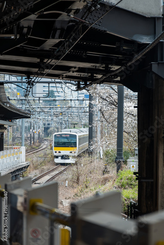A modern yellow and white commuter train traveling along tracks, captured through the dark industrial framing of a railway station bridge. In the background, white cherry blossoms add a touch of sprin