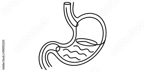 A simple black and white line drawing of a human stomach with liquid inside on a white background. Vector, illustration