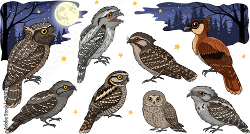 Set of 8 Owl Illustrations in Various Styles and Poses Against a Night Sky Background with Moon and Stars