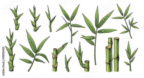 Bamboo stalks and leaves close up subject.