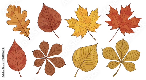 Autumn Leaves in Various Shapes.