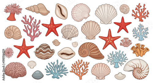 Assorted Seashells and Starfish Collection On White.