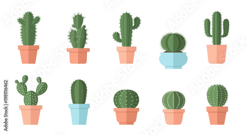 Assorted cactus plants in colorful pots isolated.