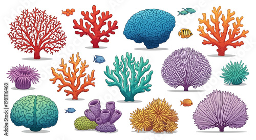 Vibrant Coral Reef Underwater Scene With Colorful Corals.