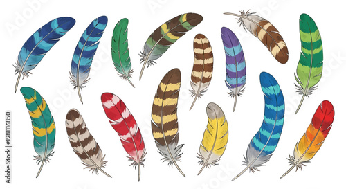 Colorful feather set isolated on white.