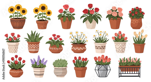 Assorted potted flowers and plants collection.