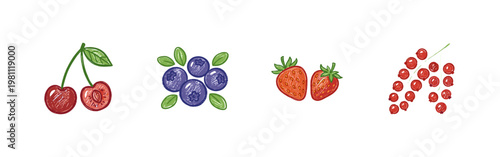 Fresh Berry and Fruit Garden Harvest Labels with Colorful Crayony Pencil Texture and Organic Colorful Textures