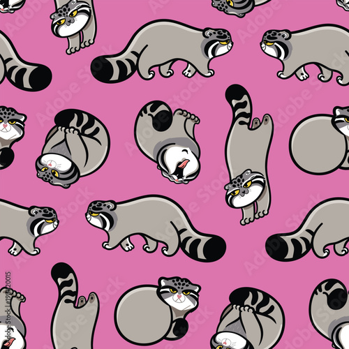 Seamless vector pattern with cute Pallas’s cats Manuls in playful poses