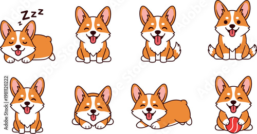 Cute corgi dog cartoon vector set with different poses sleeping sitting playing and happy puppy expressions collection