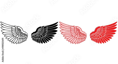 Four wings with different colors and patterns