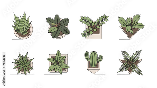 Vector 2D CAD illustrations of various potted plants and succulents in different pots