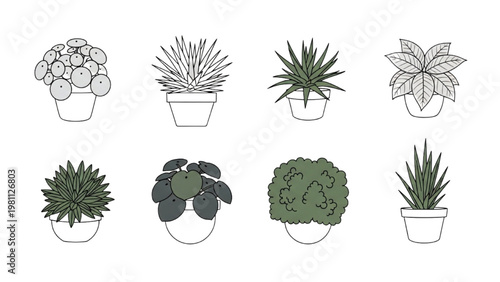 Various plants in pots are illustrated in vector 2D CAD.