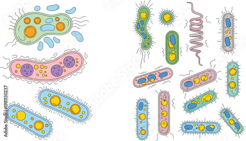 Colorful Bacteria and Microorganisms Illustrations with Vibrant Colors and Shapes for Science, Biology, and Educational Designs
