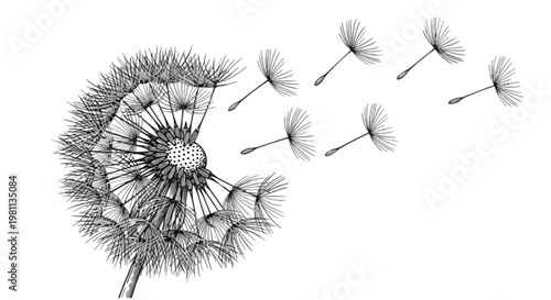 Abstract brain illustration with interconnected neural pathways and floating particles isolated on transparent background, Vector