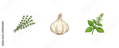 Garden Herbs and Culinary Spices Botanical Elements with Inky Brush Strokes and Crayon Colorful Aesthetic