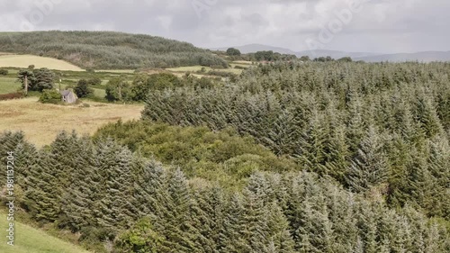 dense forest canopy under a cloudy sky, natural beauty, expansive evergreen woodland