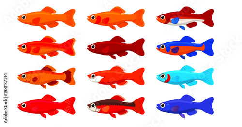 Colorful Tropical Aquarium platy Fish Vector Icon Collection