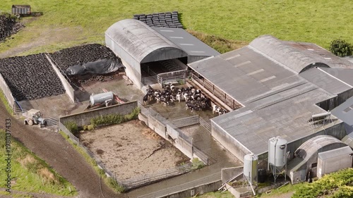 Wallpaper Mural This aerial capture displays a thriving dairy farm in a rural area. Holstein cows are gathered by large barns, surrounded by feed silos, a tractor, and green pastures on a clear day. Torontodigital.ca