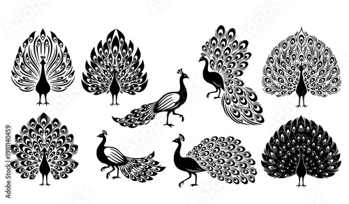 Stylized peacock silhouettes decorative feather pattern wildlife vector isolated on white