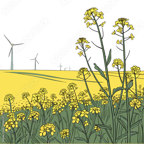 A vibrant illustration depicts a field of bright yellow rapeseed flowers with wind turbines positioned in the distant background high quality professional