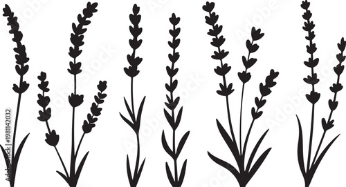 Japanese Sumi-e style vector collection of wild meadow flowers. Traditional Zen ink wash illustration with expressive dry brush strokes.Botanical Herb Plant Collection