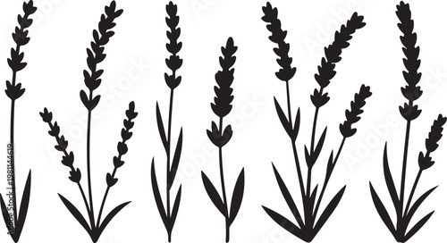 Japanese Sumi-e style vector collection of wild meadow flowers. Traditional Zen ink wash illustration with expressive dry brush strokes.Botanical Herb Plant Collection