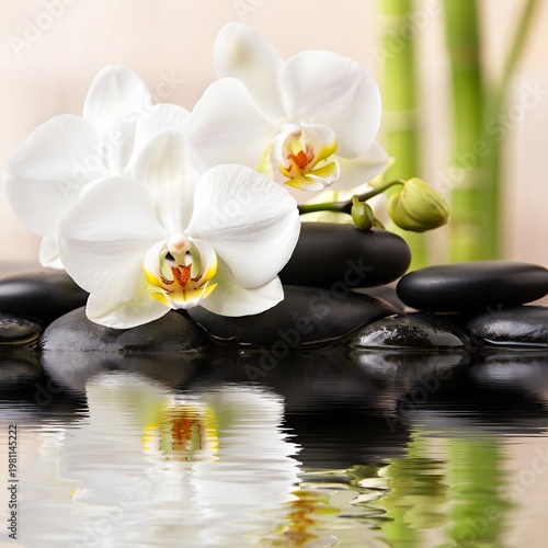 spa stones and orchid