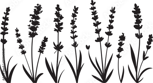 Japanese Sumi-e style vector collection of wild meadow flowers. Traditional Zen ink wash illustration with expressive dry brush strokes.Botanical Herb Plant Collection