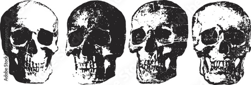 four detailed black and white human skull illustrations in a row, anatomy, gothic art, vintage