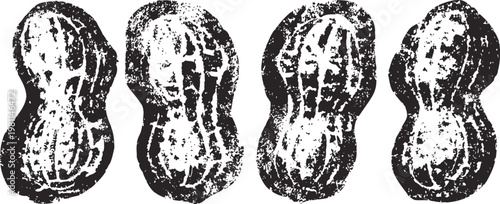 Four whole raw peanuts in shells arranged in a row isolated on white background