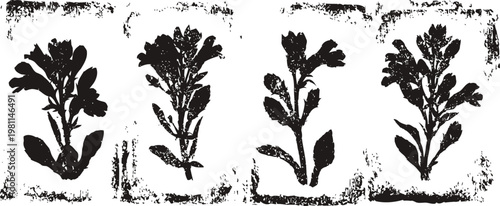 Four black silhouette floral bouquets with textured vintage frames