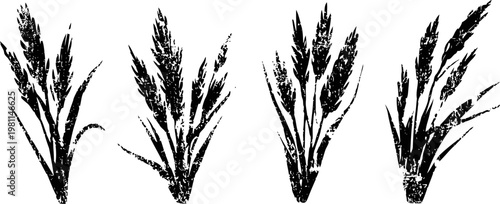 four black silhouette rice plant clusters with distinct seed heads and long slender leaves