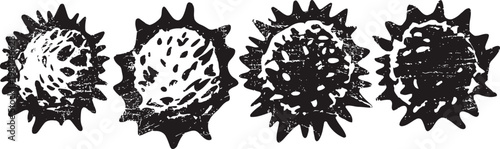 four decorative sunflower seed pods in black ink silhouette with natural spiky textures
