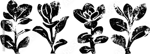 black ink floral silhouettes of four different flower stems with leaves isolated on white background
