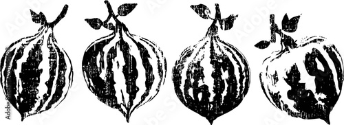 Hand drawn pomegranate sketches with detailed striped and spotted seeds pattern black ink isolated