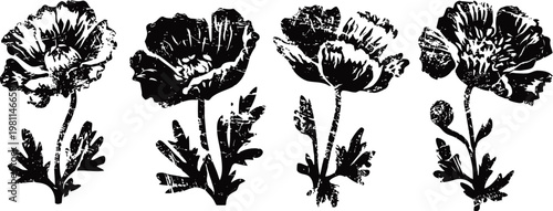 Vintage black floral silhouettes hand drawn poppy flowers with leaves decorative botanical design elements