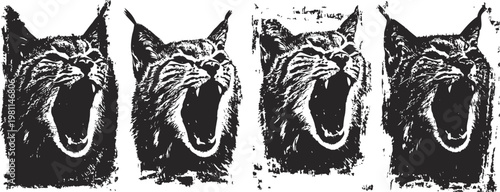 Four roaring wild cats in black ink on white background fierce animal expression, wildlife predator portrait set