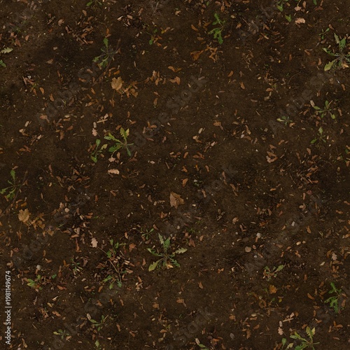 Seamless Overhead Soil Ground Texture with Leaves and Small Plants Detail