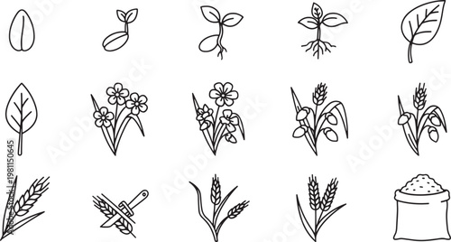 Plant Life Cycle and Agriculture Line Icons Set Featuring Seed Germination, Growth Stages, Wheat Harvest, and Flour Production