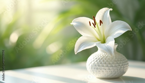 White lily flower in textured vase on white table. Soft natural light illuminates bloom and blurred green background. Fresh elegance for decor, beauty, or wellness themes.