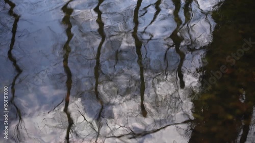 Reflection of bare tree trunks and a cloudy sky on the rippling surface of a pond