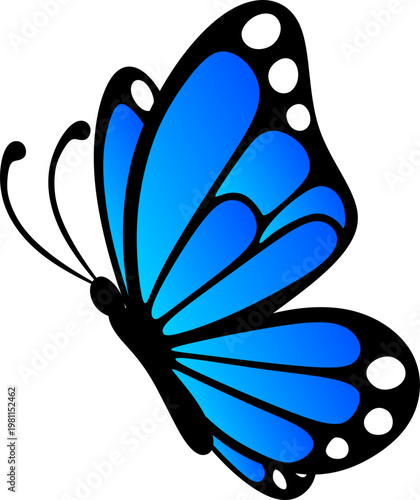 Butterfly Gradient Illustration