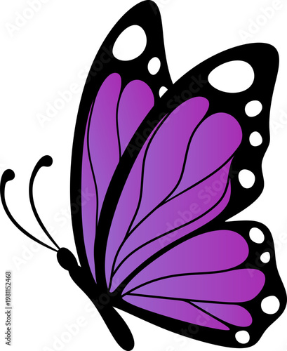 Butterfly Gradient Illustration